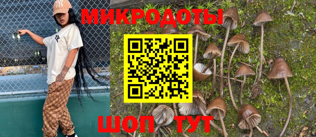 Псилоцибиновые грибы Psilocybe  Вход с VPN  Видное  Галлюциногенные грибы Psilocybe 